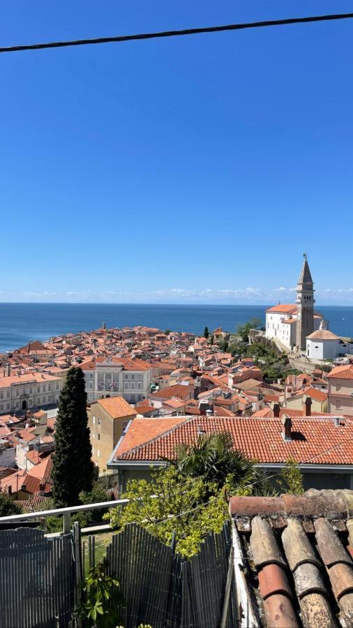 Apartments Punta Piran Dış mekan fotoğraf